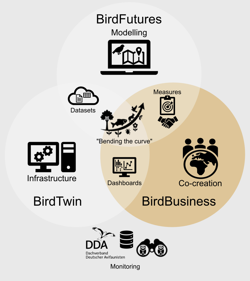 Schematic representation of BirdBusiness in TripleBird